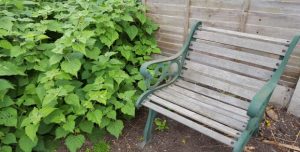 Muddy Boots garden project image