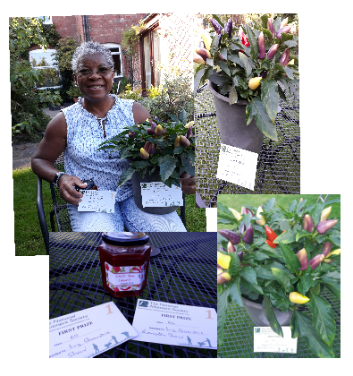 Liz winning entries